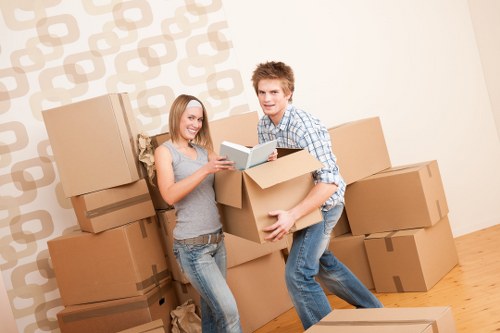 Loading boxes and household items into a van for a Kingston move
